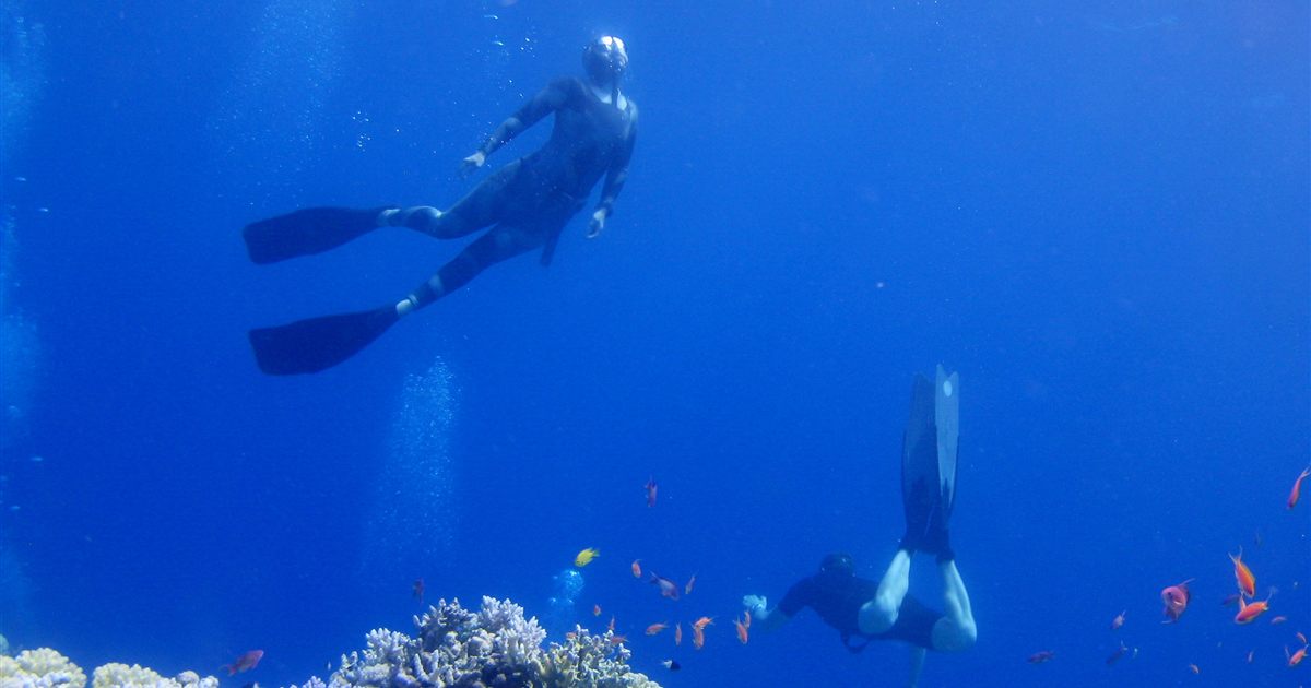 Freitaucher im Blue Hole bei Dahab